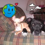 Terry Hein - @brownytrout - Instagram