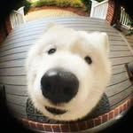 Terry Hein Htet - @heinkyaw.htet.31 - Instagram