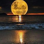 Terry Eshelman - @terryeshelman - Instagram