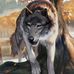 Teri Henninger - Facebook
