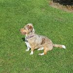 Terry Henshaw - @terry.henshaw - Instagram