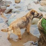 Terry Herbert - @jampot09 - Instagram