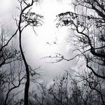 Terry Herbert - @terry.herbert.7330 - Instagram