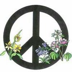 Terri Herbst - @herbstterri - Instagram