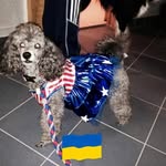 Terry Herman - @terry.herman5 - Instagram