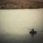 Terry Herman - @terherm - Instagram