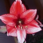 Terry Herman - @terry.herman.5059 - Instagram
