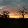 Terry Hernandez - @terryhernandez4 - TikTok
