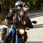 Terry Hershner - @terryhershner - Instagram