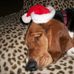 Terry Hileman - Facebook