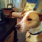 Terry Hillier - @terry.hillier.58 - Instagram