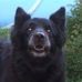 Terry Hillier - Facebook