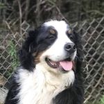 Terry Hillier - @hillier_terry - Instagram