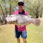 Terry Hocking - @dhustroke - Instagram