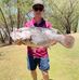 Terry Hocking - Facebook