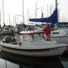 Terry Hoffman Lorscheider - @terry.hoffman.lor - TikTok