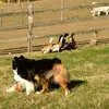 Terry Hoffman - @terry.hoffman - TikTok