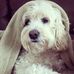 Terry Hohl - Facebook