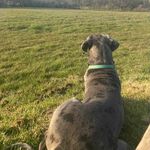 Terry Holder - @terryholder22 - Instagram