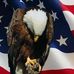 Terry Holdridge - Facebook