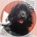 Terry Houk - Facebook