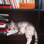 Terry Howlett - @actervifo - Instagram