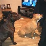 Terry Hulbert - @terry.hulbert.52 - Instagram