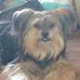 Terry Hulett - Facebook