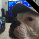 Terry Hulse - @terryhulse1 - Instagram