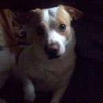 Terry Hutsell - @terryhutsell - Instagram