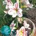 Terry Hutton - Facebook