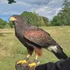 Terry Hutton - @terry.hutton7 - TikTok