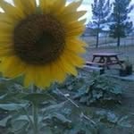 Terry Isaacs - @terry.isaacs.980 - Instagram