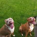 Terry Jaeger - @terrykjaeger - Instagram