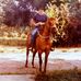 Terry Jaques - Facebook