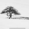 terryjaques - @racerx122 - TikTok