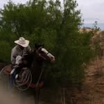 Terry Jarrell - @jarrell3870 - Instagram