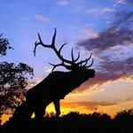 Terry Jonas - @terryjonas1960 - Instagram