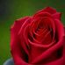 Terry Kamau - Facebook