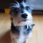 Terry Kan - @terry_kan - Instagram