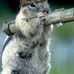 Terry Kapp - Facebook
