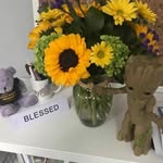 Terry Kapp Guiffré - @tkguiffre - Instagram