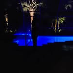 Terry Karr - @terrytrpovski - Instagram