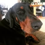 Terry karr - @karr.terry - Instagram