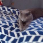 Terri Karst - @terri.karst.54 - Instagram