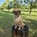 Terry Karst Courtright - @terrycourtright - Instagram