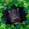terrykast - @terrykast - TikTok