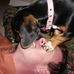 Terry Katz - Facebook