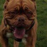 Terry Pupa Bear Keeble - @pupabear66 - Instagram