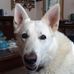 Terry Keefe - Facebook